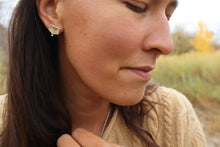 Load image into Gallery viewer, Turkey Tail Studs