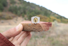 Load image into Gallery viewer, Late Bloomer Half-Saddle (8-8.25)