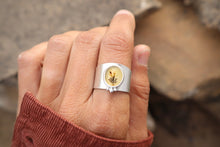 Load image into Gallery viewer, Late Bloomer Half-Saddle (8-8.25)