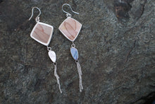 Load image into Gallery viewer, Wild Lands Danglers