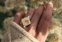 Load image into Gallery viewer, Into the Heart (5.75-6)