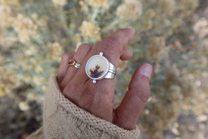 Autumn Calls Ring (7.25-7.5)