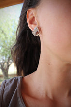 Load image into Gallery viewer, Earth Tones Studs

