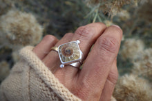 Load image into Gallery viewer, Into the Heart (5.75-6)
