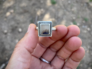 Polaroid Ring (8.5)