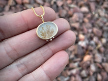 Load image into Gallery viewer, Illuminate Pendant
